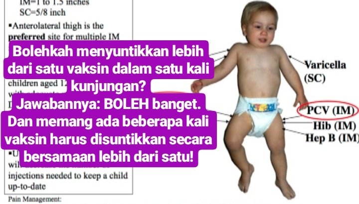 dokterapin's tweet photo. Sering gemezz kalau lihat #imunisasi "berantakan" pemberiannya. Misalnya harusnya umur 6 bulan udah dapat #vaksin DPT kombo dan PCV 3x, tapi belum semuanya. Kok nggak sesuai #jadwalimunisasi? Karena nggak #simultan pemberiannya. Memangnya nggak boleh, sekali datang suntik banyak? https://t.co/Jfn60wNez7