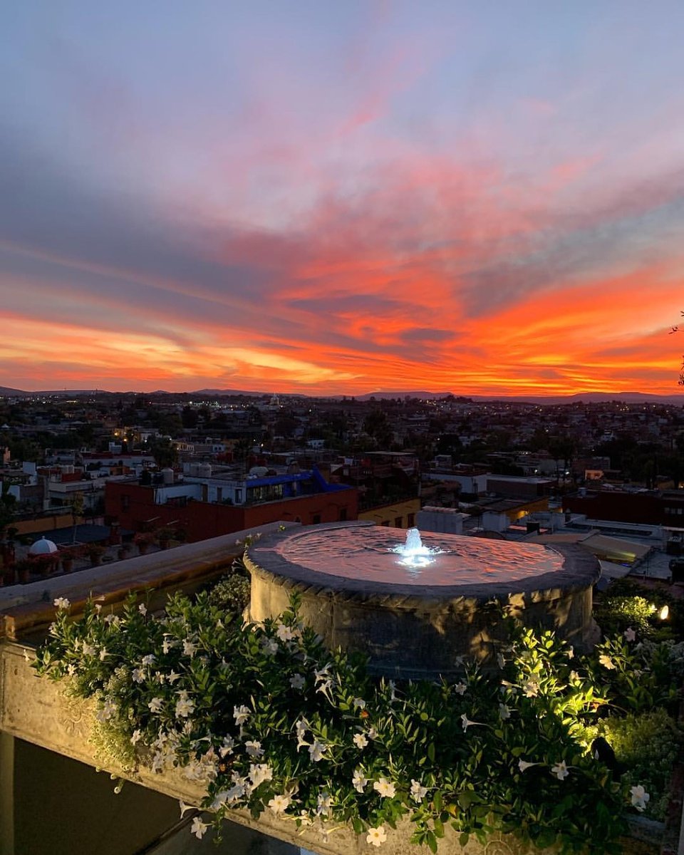 San Miguel sunsets are a favorite at Quince!!
#sanmigueldeallende #skyporn #sunrise #sunsetlovers #cloudporn #sunsets #sunsetporn #skylovers #sunset_pics #ocean #skyline #evening #dusk #horizon #rooftopbar #quincerooftop #quince #1 #quincetherooftopbar #skyporn