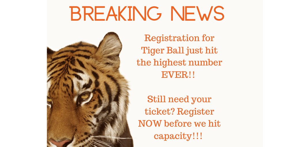 LBall2020's tweet photo. A HUGE THANK YOU 👏🏻👏🏻👏🏻

#tenthanniversary #recordbreaking
#registernowbeforeitstoolate
#goldenticket https://t.co/5EaQOdUDtr
