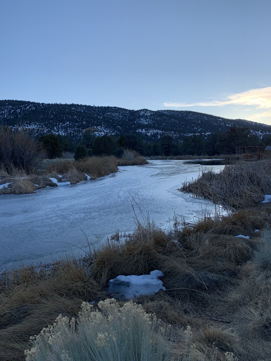 Camp Oakes! What a beautiful classroom! <a href="/MsDonavan/">MsDonavan</a>