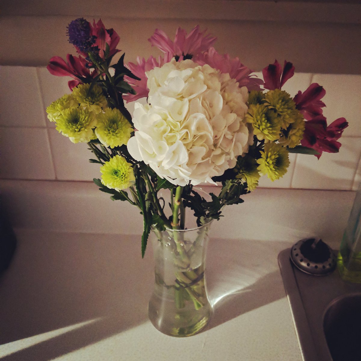 meghorn84nd's tweet photo. #birthdayflowers #feelingspecial #hello36 https://t.co/vVHOPJEvSv