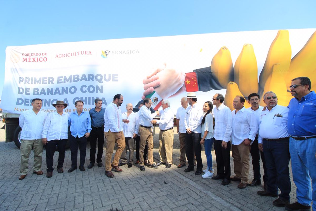 nachoperaltacol's tweet photo. ¡Buenas noticias para el campo!
México ya está exportando plátano a China y de Manzanillo salió la primera embarcación con destino al país asiático.
¡Colima es de los 3 Estados que cumple con los requisitos para exportar!
#ColimaProduce https://t.co/ncgXQY0WCK