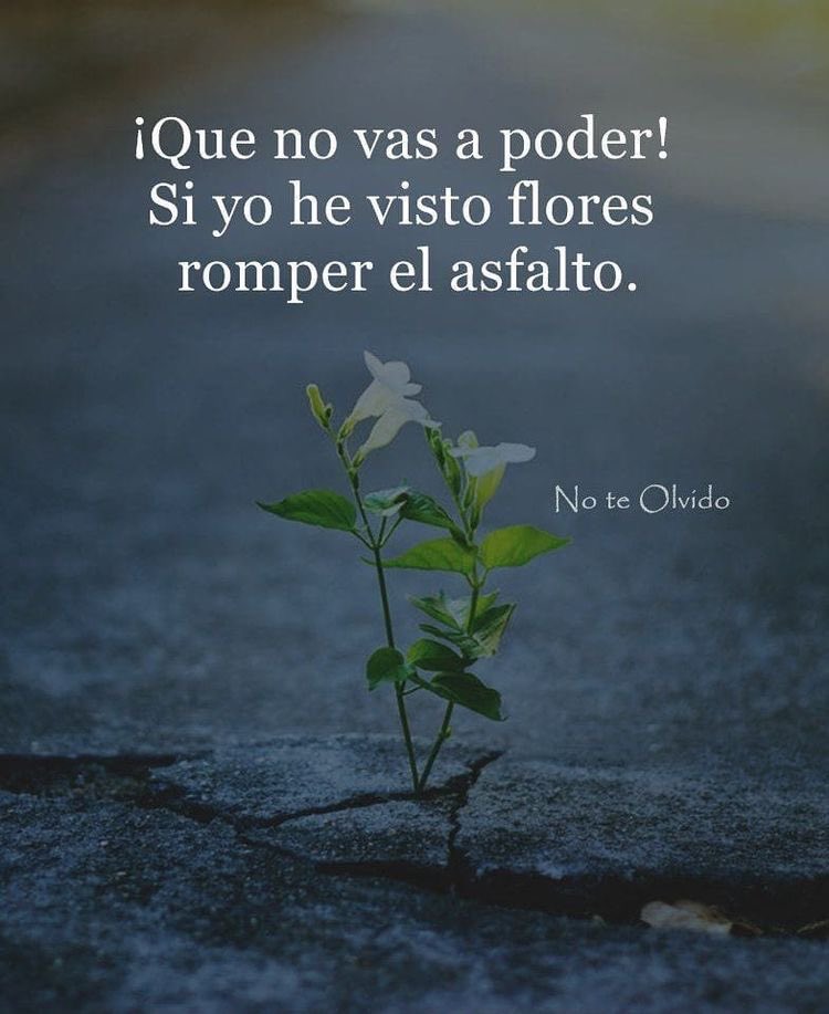 liliamrojas's tweet photo. Los retos se hicieron para superarlos! https://t.co/pNmd9XhFq9