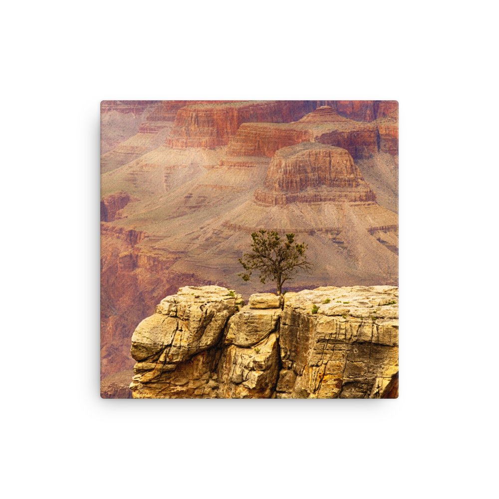 PlayTheMove's tweet photo. Grand Canyon National Park https://t.co/vCKzxmENVE #PlayTheMove #FreedomOfArt #Art https://t.co/GlxN97vJV5