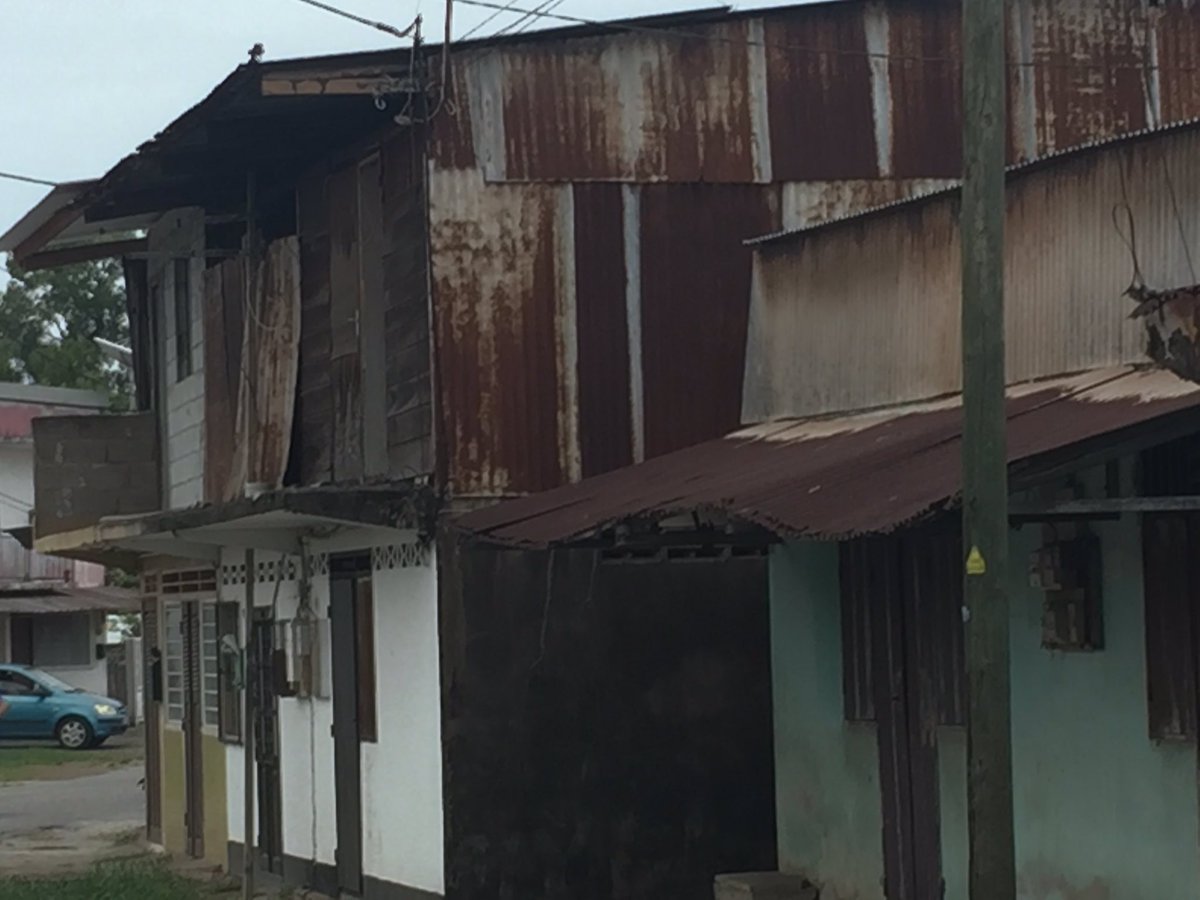 Hélène Le Rai tweet media