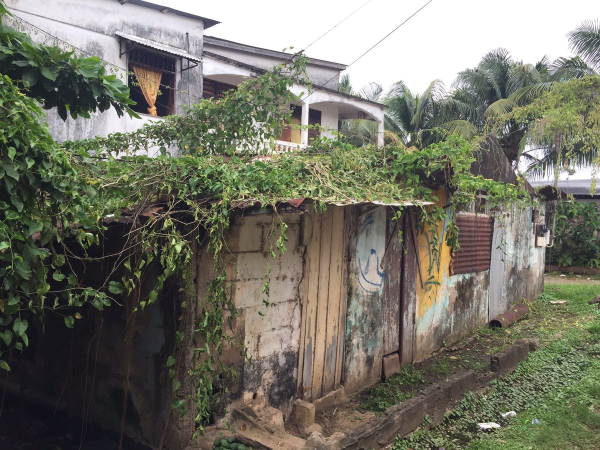Hélène Le Rai tweet media