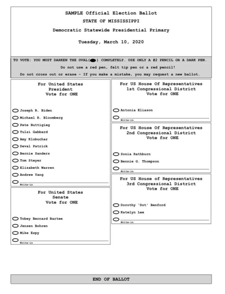 MSforWarren2020's tweet photo. This is the MS Democratic Primary Ballot. #MSVoters, please familiarize yourself with the candidates and format. #MSDems #Warren2020 https://t.co/QHQ9EUwgUT