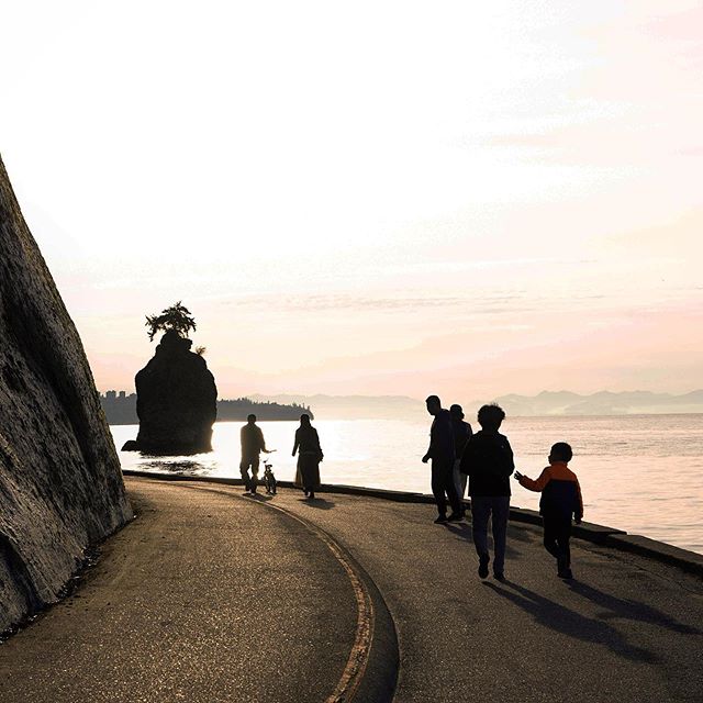MyVancouver's tweet photo. A year-round beauty. Vancouver's Seawall never disappoints.⠀⠀⠀⠀⠀⠀⠀⠀⠀
⠀⠀⠀⠀⠀⠀⠀⠀⠀
#VeryVancouver⠀⠀⠀⠀⠀⠀⠀⠀⠀
📍 Stanley Park Seawall⠀⠀⠀⠀⠀⠀⠀⠀⠀
📷 @cktkwok/IG https://t.co/sl1uo8zGhf