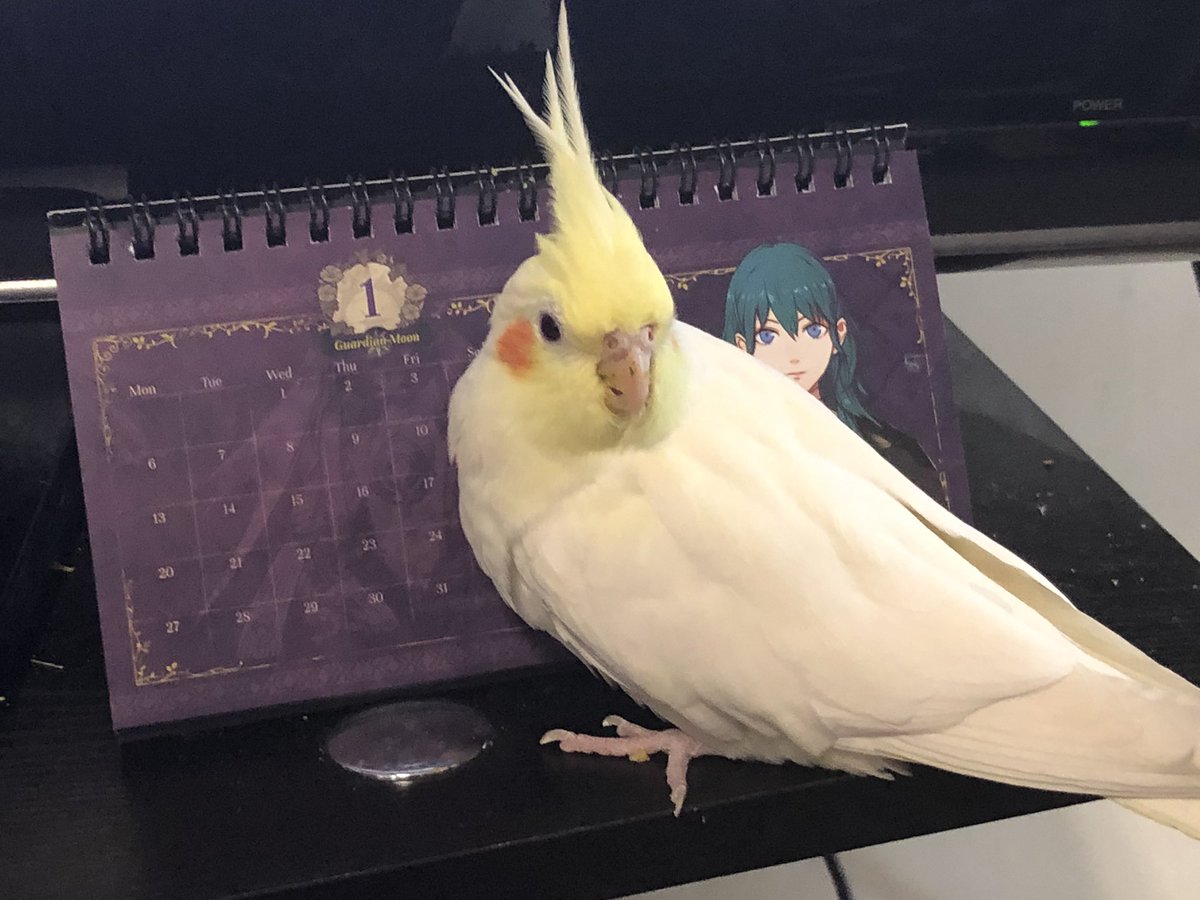 7顆 風花鳥月 7顆 風花鳥月