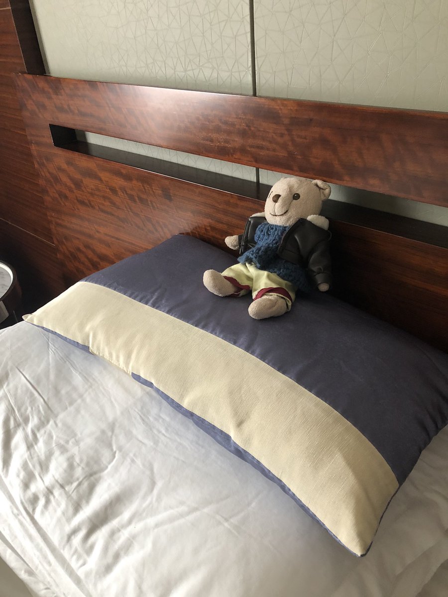 MrsMatthewsHK's tweet photo. You know it’s a good day when: you have an incredible walk-home-from-school-view and when you get back to your hotel room you find that the house keeping service has gone above and beyond 🧸🤓☺️#crackingview #davethebear https://t.co/A5QVnSGKGv