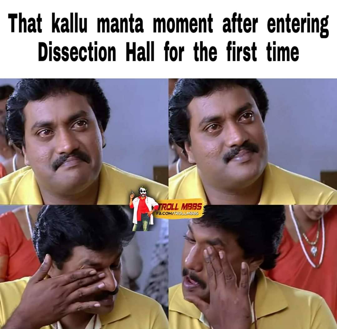 Troll_mbbs's tweet photo. Especially after holidays
#neetpg2020 #aiims #neet #trollmbbs #MBBS #mbbstyliststudio #medico #medicos #medstudent #medlife #medicalstudent #medicalassistance #medschool #medicine #medical #nurse #nursing #nursingstudent #nursinglife #doctor #futuredoctor #surgery #surgeon https://t.co/M3stbwUm5G
