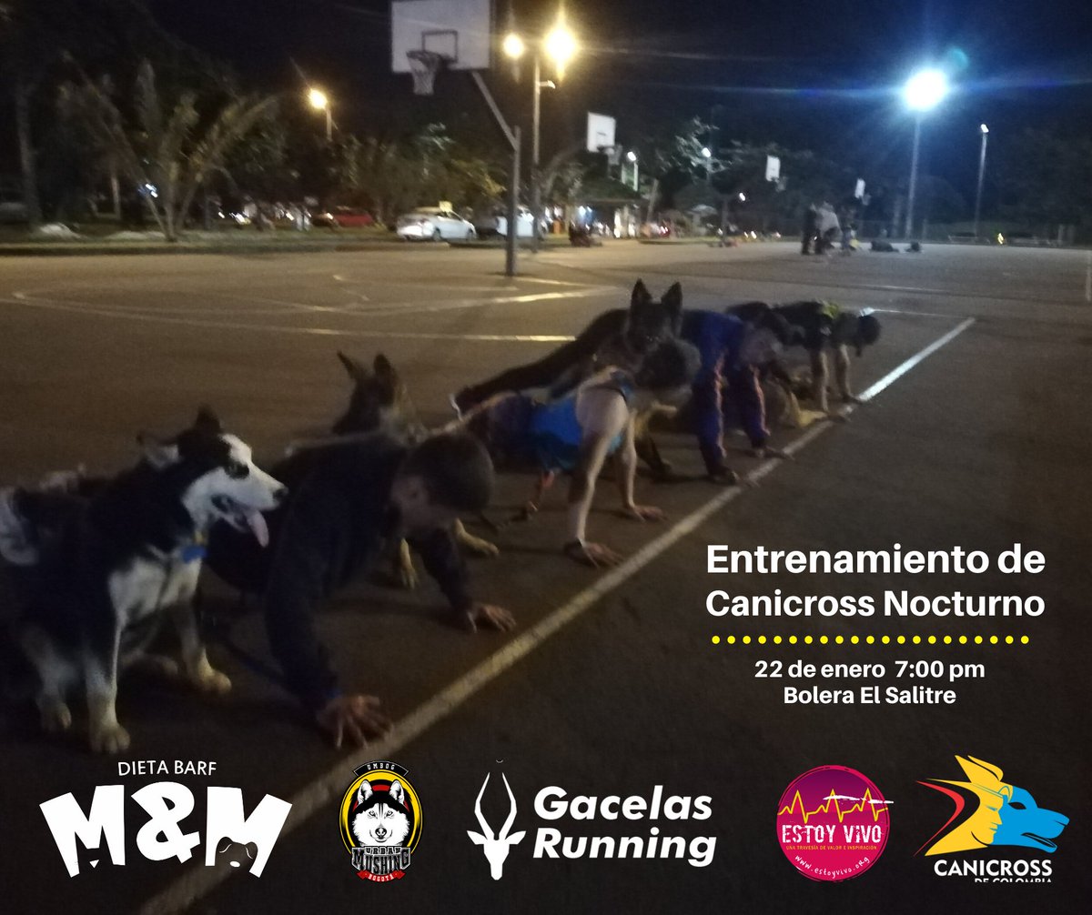 CanicrossDeCol's tweet photo. Mañana miércoles 22 la cita es en la bolera El salitre a las 7 pm entrenamiento de Canicross https://t.co/L9azjKjx73