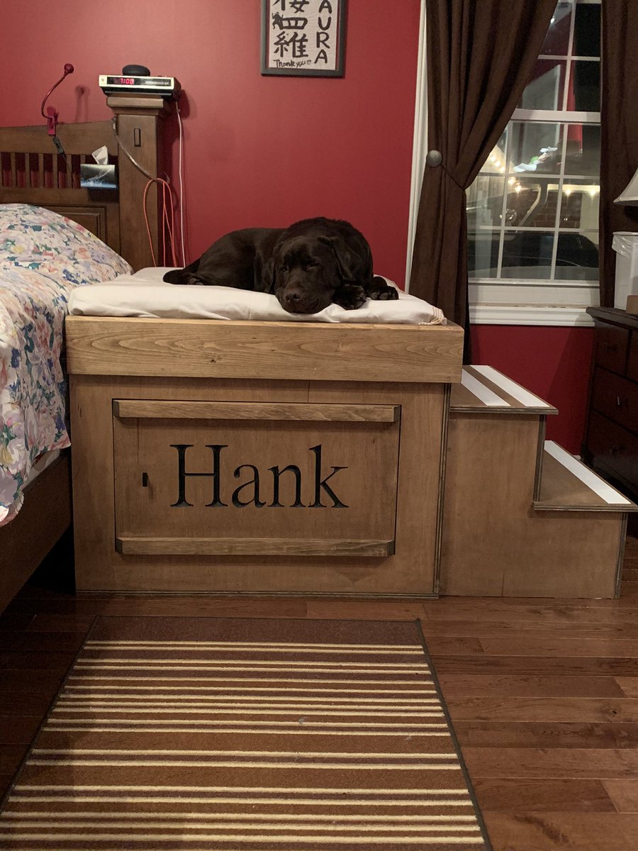 lsteiger3's tweet photo. Hank &amp; I love his new bed! https://t.co/LEtajbIvfD