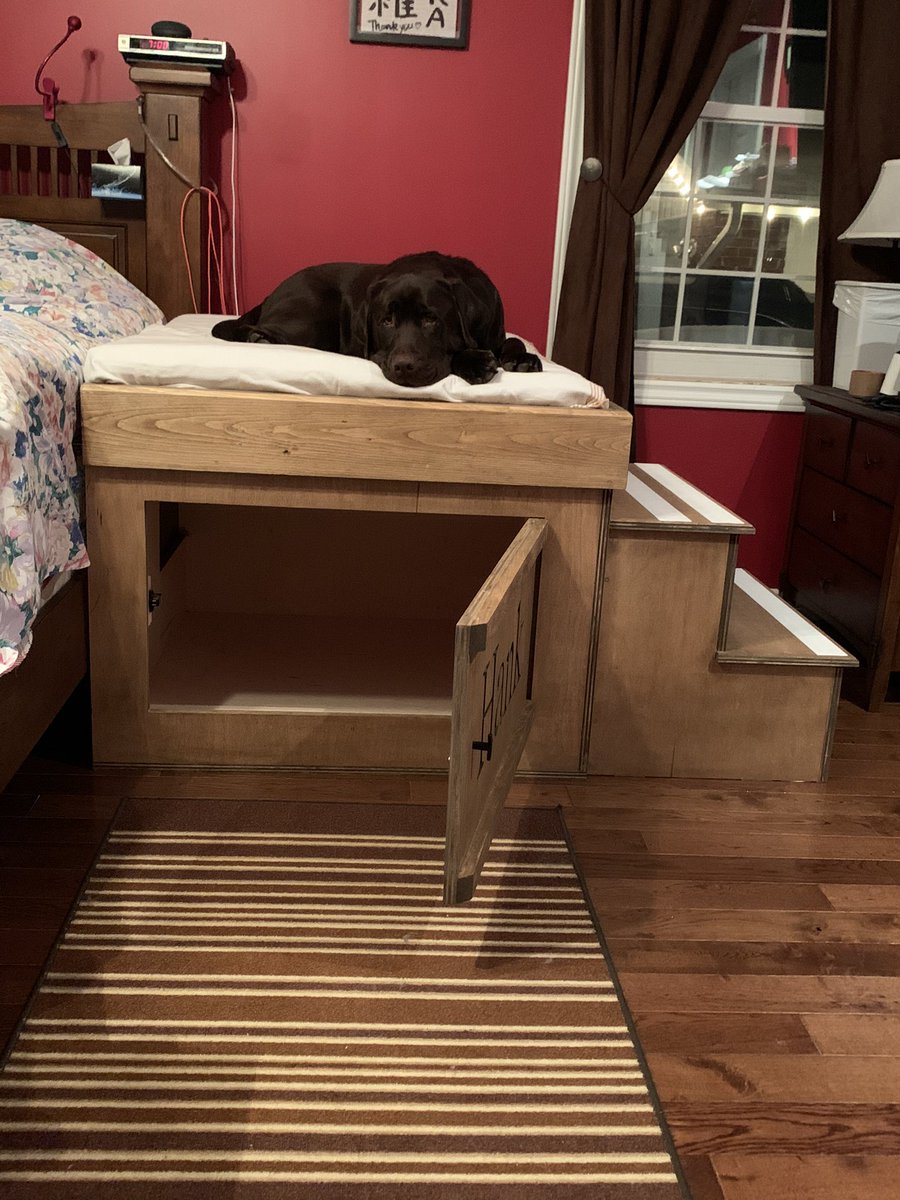 lsteiger3's tweet photo. Hank &amp; I love his new bed! https://t.co/LEtajbIvfD