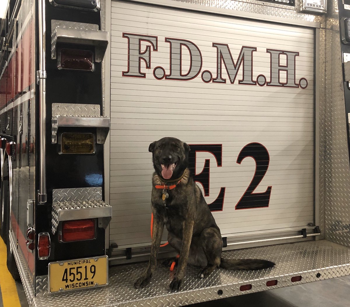 wik9sos's tweet photo. After our demo some of the K9s posed. #Fdmh #SAR #k9sar #firetruck https://t.co/RSr4utlWkK