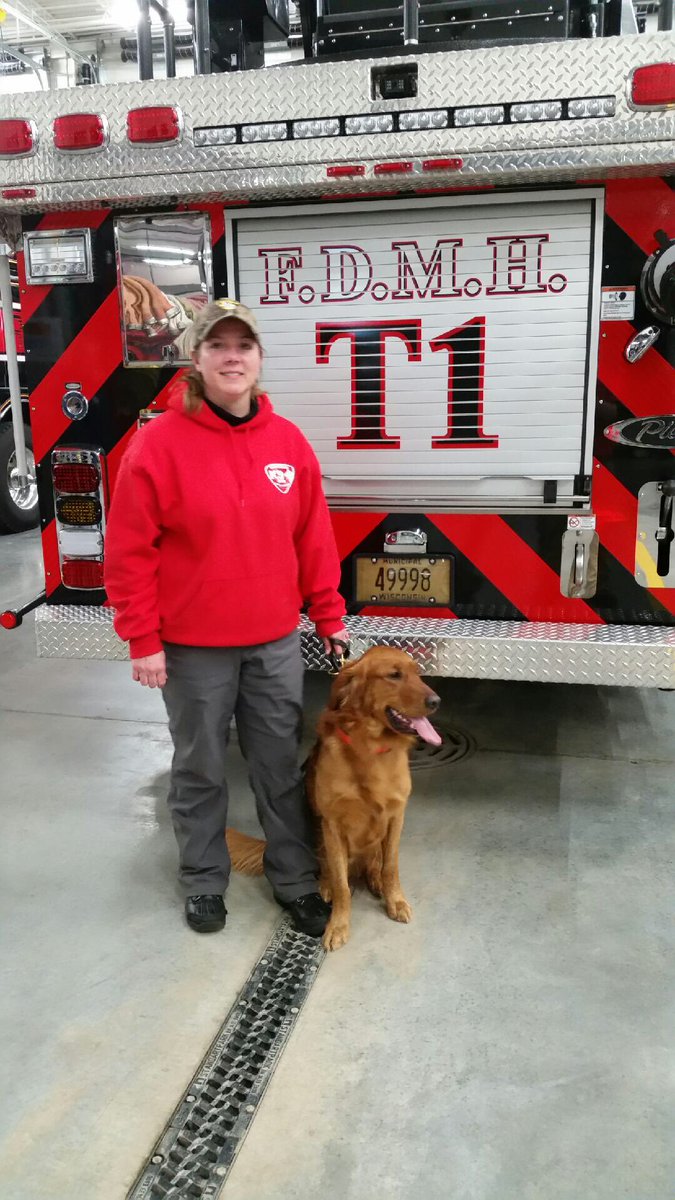 wik9sos's tweet photo. After our demo some of the K9s posed. #Fdmh #SAR #k9sar #firetruck https://t.co/RSr4utlWkK