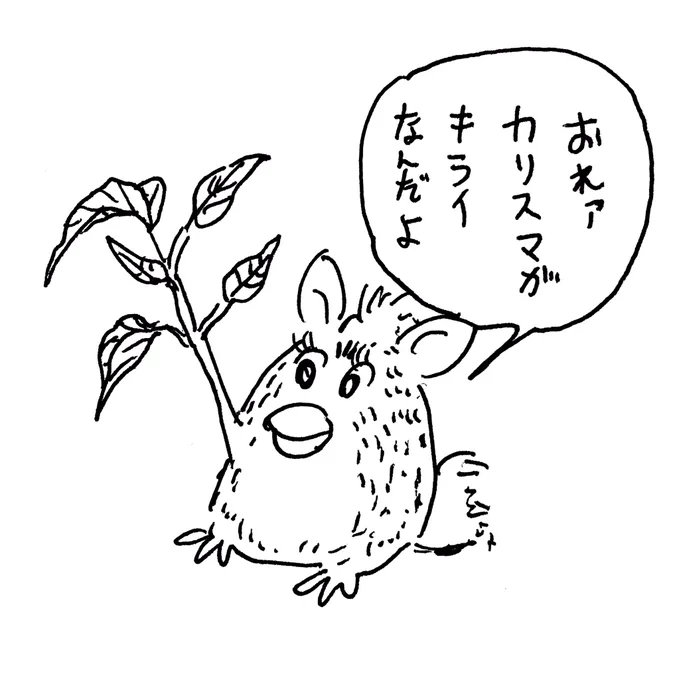 美しい 