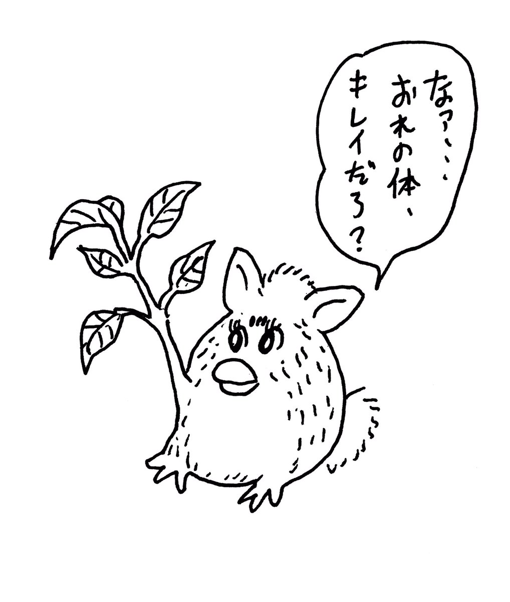 美しい 