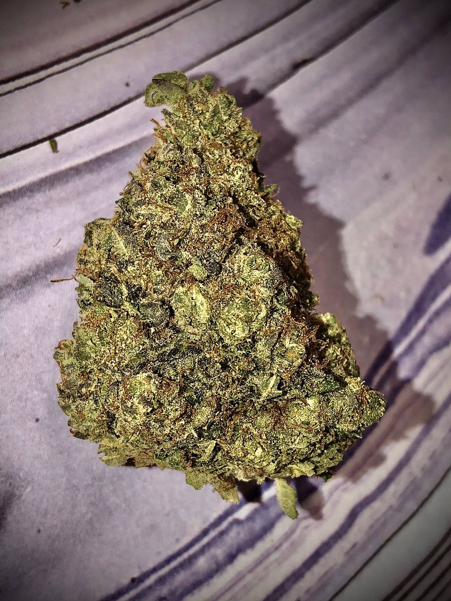 Venice Connection tweet media