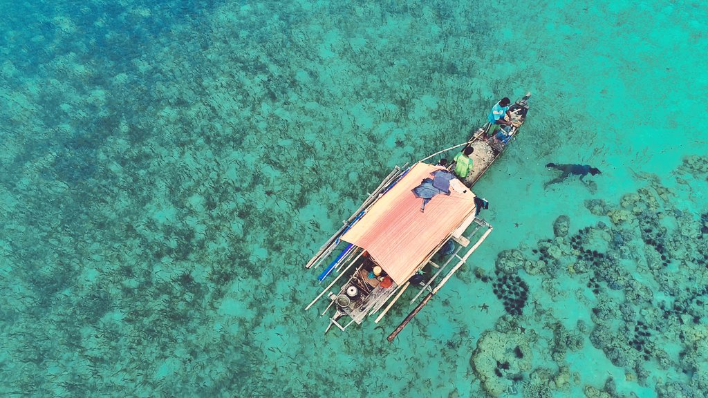 Dandhy_Laksono's tweet photo. Para penonton "The Bajau" yang telah berdonasi, hari ini adik kita Rafli bin Serding (4), melakukan perjalanan 7 jam ke kota Gorontalo untuk pemeriksaan bibir sumbing.

Relawan yang mendampingi adalah para jurnalis @aji_gorontalo. Terima kasih semuanya.

Foto: Rena Pasandre https://t.co/Fq91dHkBJ4