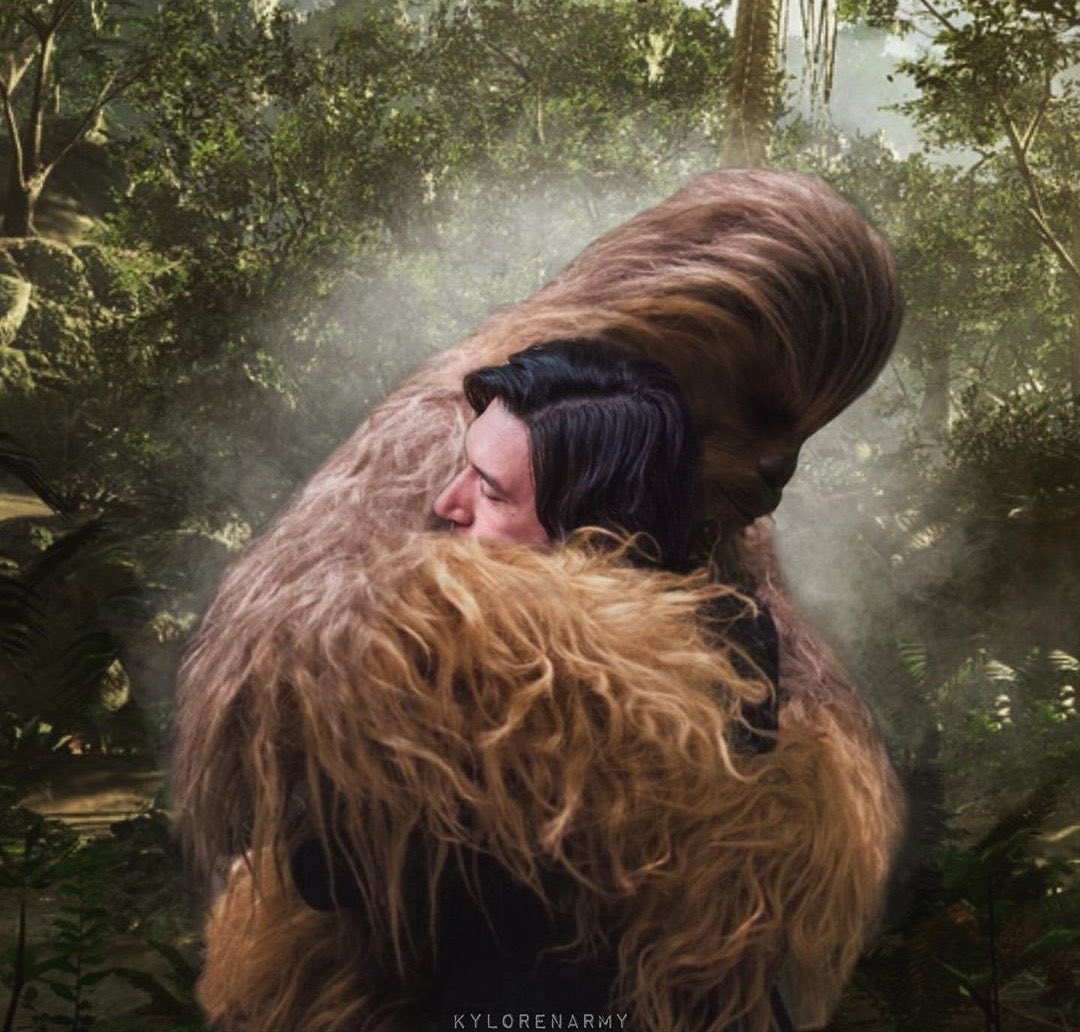 The hug heard across the galaxy. 

I miss him too. 
#NationalHugDay 
#BenSolo #Chewbacca