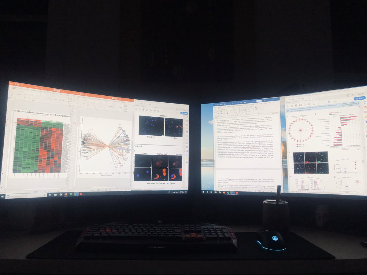 wroqueMD's tweet photo. Great call-day in the MICU. Finishing the day with some of tea #YerbaMate to work on the next #manuscript and getting dose figures ready for #ATS2020 @atscommunity - #LungAging #IPF #Metabolomics #Proteomics #MCQ | finest jazz on the background. https://t.co/l97SGlCLym