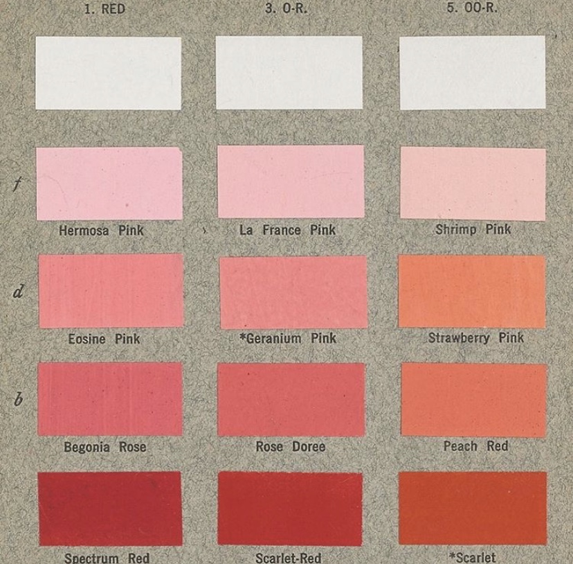 GlobalBabes's tweet photo. Fifty shades of ... pink! The perfect hue all year round - which is. your favourite?

#pink #summerstyle #globalbabeofficial #globalbabestyle #resortwear #slowfashion #womeninbusiness #protectyourbestasset #bethechange #savetheplanet # travelinstyle https://t.co/7KtkFTERbG