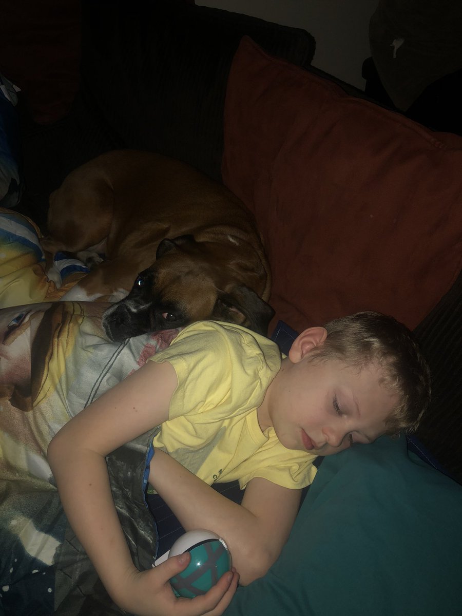 HelpingEzra's tweet photo. Ezra and his cuddle buddy🐶.  Sweet dreams our little Hero 🦸‍♂️ #helpingezra  #gouldsyndrome #boxerdog https://t.co/hsVtuhekWL