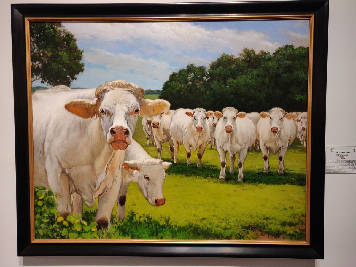 BMLipton's tweet photo. When The Cows Come Home
 Moo via @artistdavidpeikon 
#Moo #Art #Cows #Beef #Artist #FineArt #Cows #Meatasaurus #carnivore https://t.co/JWfugTB3eJ