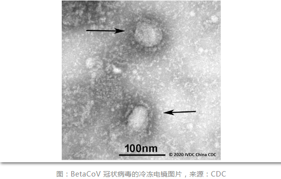  #Chine - L'origine de la  #Pneumonie à  #Coronavirus n'a pas encore été trouvée- La voie de transmission n'est pas encore totalement comprise (voies respiratoires, ...)- Le nouveau  #Virus de  #Wuhan pourrait muter- Le  #Wuhanvirus risque de se propager davantage. #nCoV2019  #China