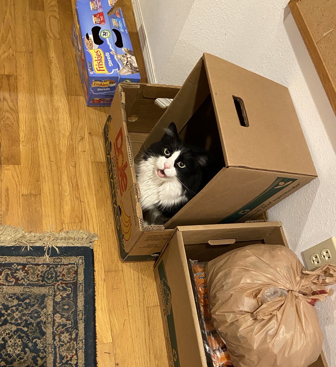 squeakadeeks's tweet photo. WIGGINS IN TWO BOXES https://t.co/3WXC9XcP2o