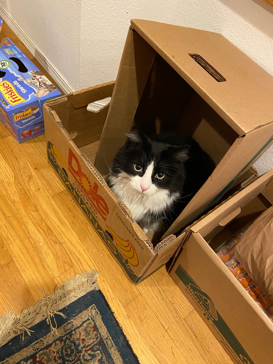 squeakadeeks's tweet photo. WIGGINS IN TWO BOXES https://t.co/3WXC9XcP2o