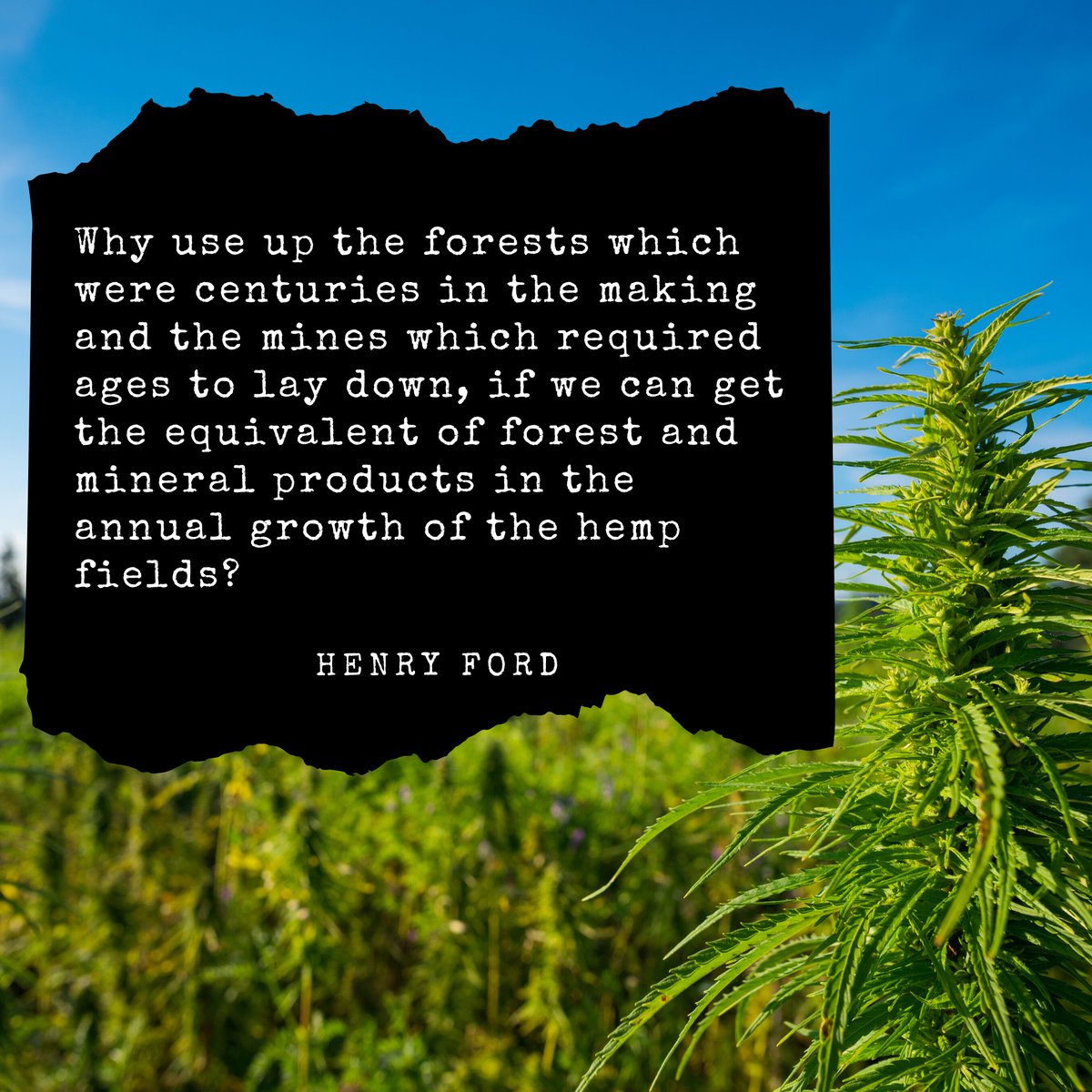 HobanLawGroup's tweet photo. #Hemp https://t.co/mMdNYScDMh