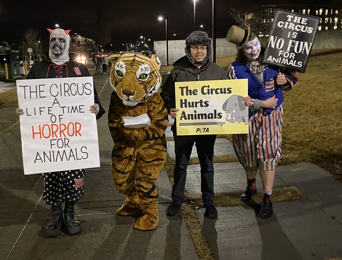 UARC's tweet photo. The time is always right to speak out for animals! Thanks to those compassionate individuals who showed up tonight to protest the cruel use of animals in the circus. Shame on @UVU for leasing their facility for cruelty to animals! https://t.co/XCCBO9FddR
