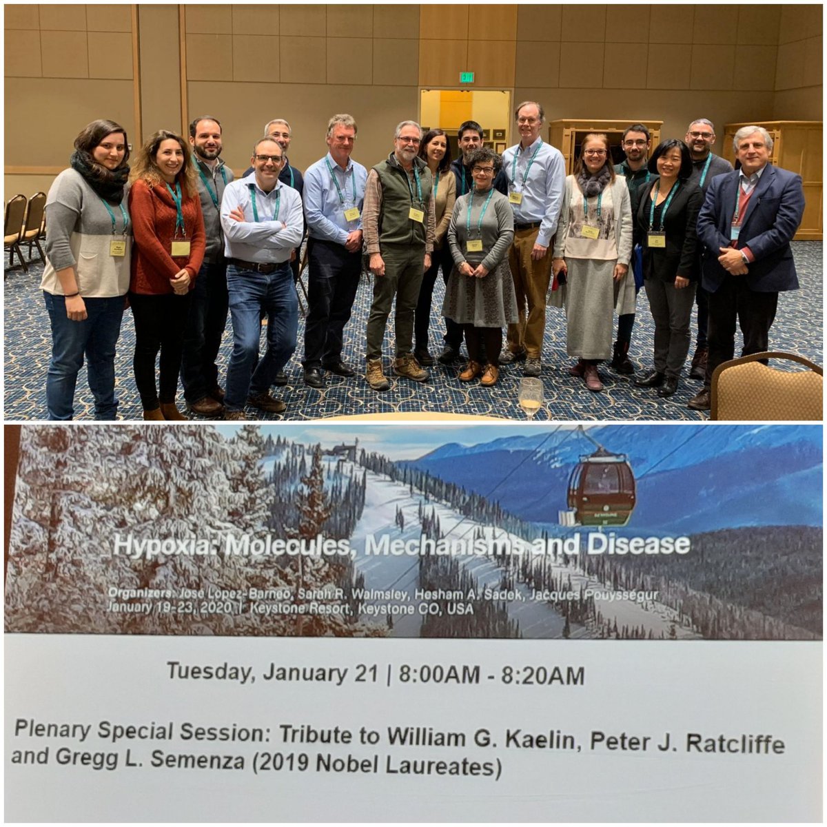 HypoxiP's tweet photo. Celebrating the Hypoxia Nobel Prize at Hypoxia @KeystoneSymp #KSHypoxia Great honour!!! https://t.co/7rQU5wtVtH