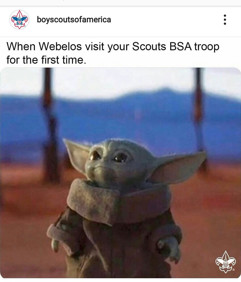 CubScoutPack964's tweet photo. Just couldn't resist! #Webelos #JoinScouting  #CrossoverSeason #WeOwnAdventure #Scouting #ScoutsBSA #PrinceWilliamDistrict #BabyYoda @NCACBSA https://t.co/dwR7h3Stah