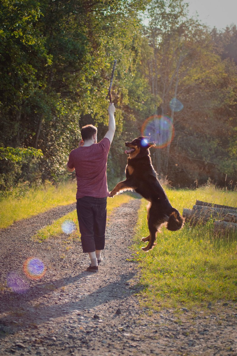 techyourspace's tweet photo. Cleverpet Hub: World's first activity booster for pet dogs

https://t.co/9tyiFXPkiK

#homeautomation #livesmart #smartliving #smartlife #technology #smartproducts #smarthome #singapore #usefulinfo #homedevices #bestproducts #IoT #future #blog #robots #smarttech #pettech https://t.co/ps36hgvRKE