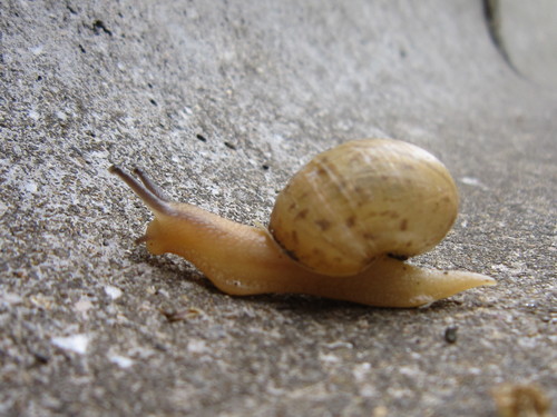 いちゅい具志川じんぶん館 Utdccpjhcrh4vf0 Twitter