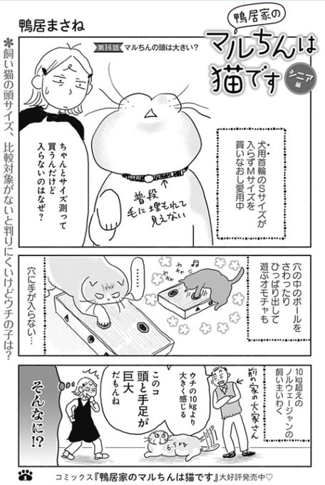 鴨居まさね を含むマンガ一覧 ツイコミ 仮 鴨居まさね を含むマンガ一覧 ツイコミ 仮