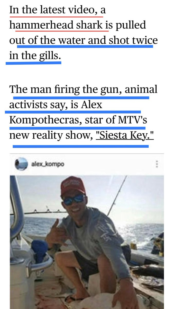 Realityisgoals's tweet photo. #SiestaKey why stop next #arrestrecord #Alexkompo and his murder of sharks! #Disgusted! IMO this isn’t a sport and IS against the Law!! #LikeFatherLikeSon
#Part2 #Disgusting #killingsharks
https://t.co/jRrxez7277 https://t.co/O8wAsKuAdf