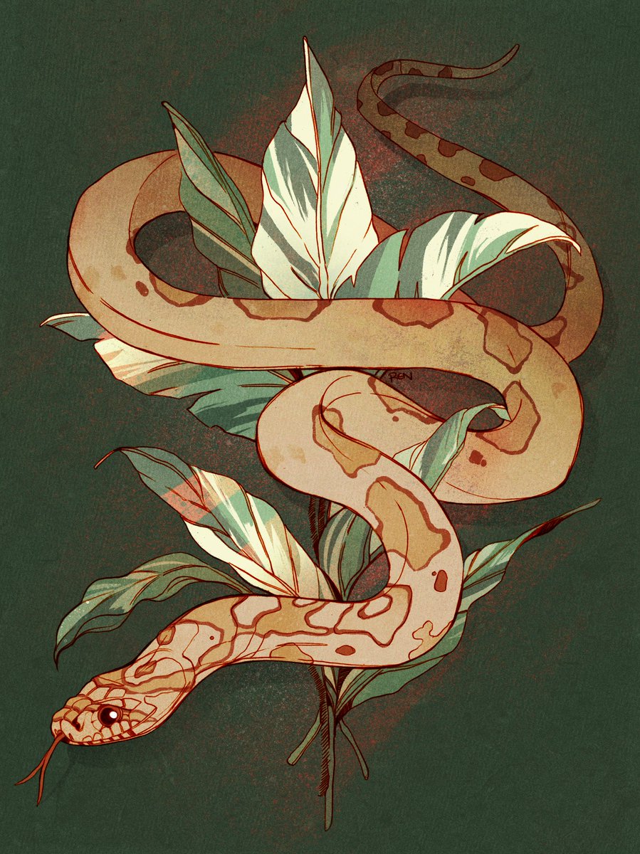 corn snake tattoo design commission for "Ren 🐦 の イ ラ ス ト.