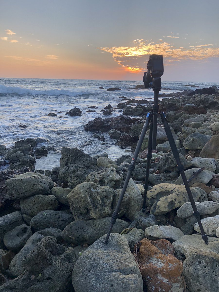 SIRUI WATERPROOF CARBON FIBER TRIPOD. W2204 @SIRUIImaging #SIRUI #SIRUIIMAGING