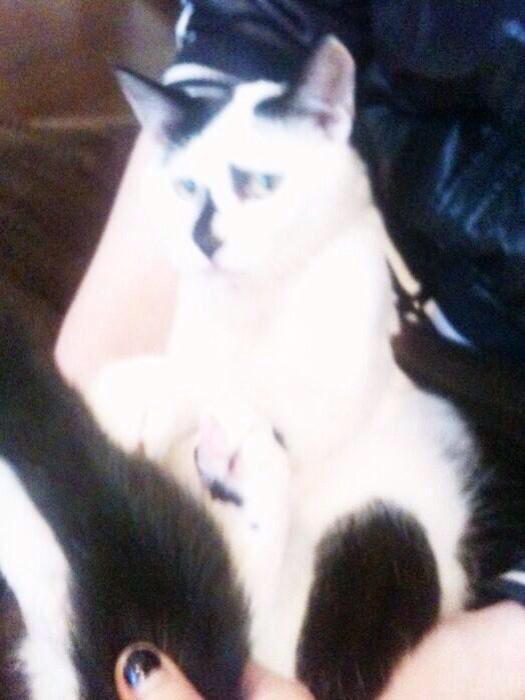 후루룩구루룩 훅끼 🕯️ tweet media