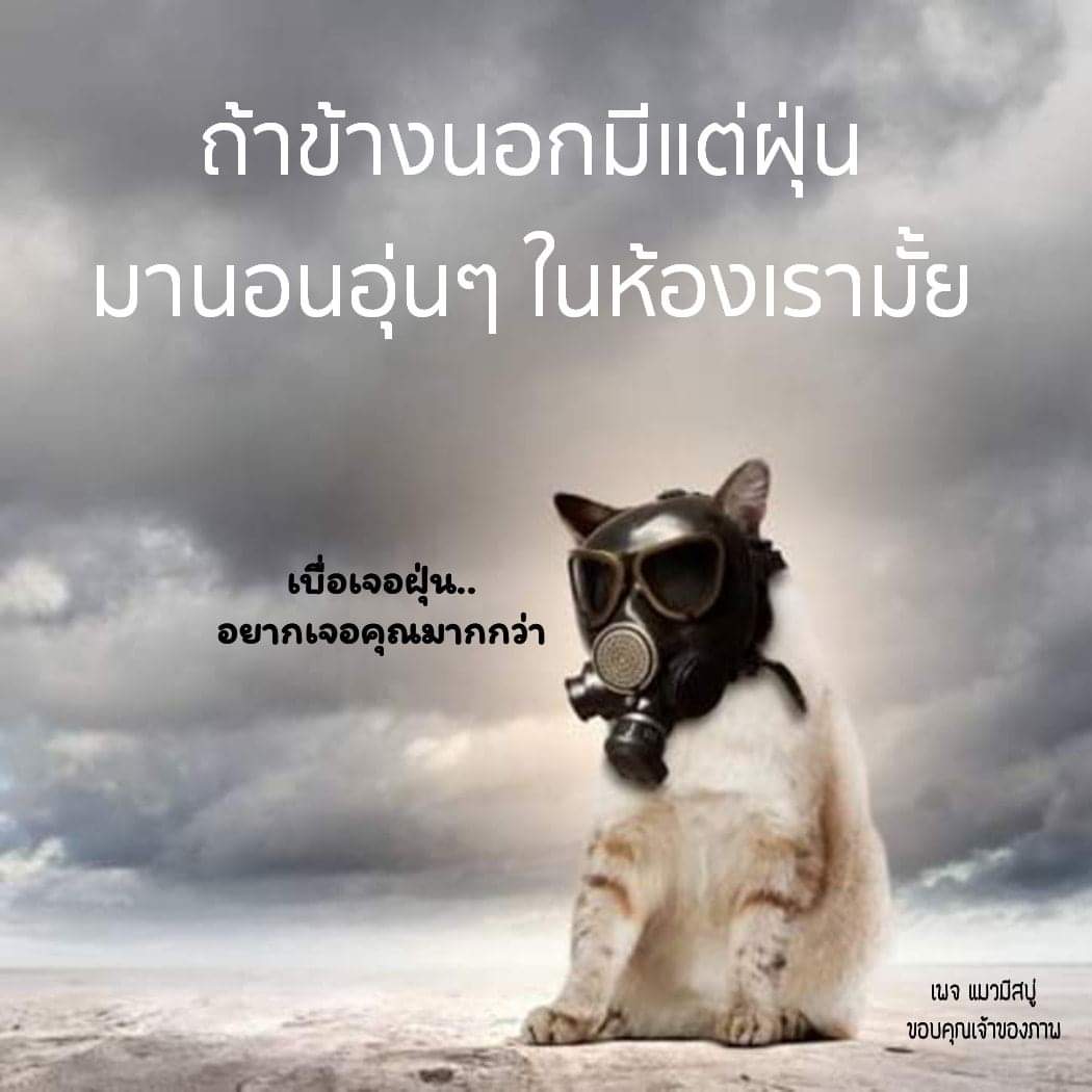 Thongchai​ Lerdvaranid (@tlerdvaranid) on Twitter photo 