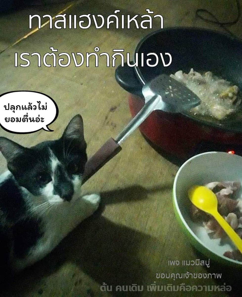 Thongchai​ Lerdvaranid (@tlerdvaranid) on Twitter photo 