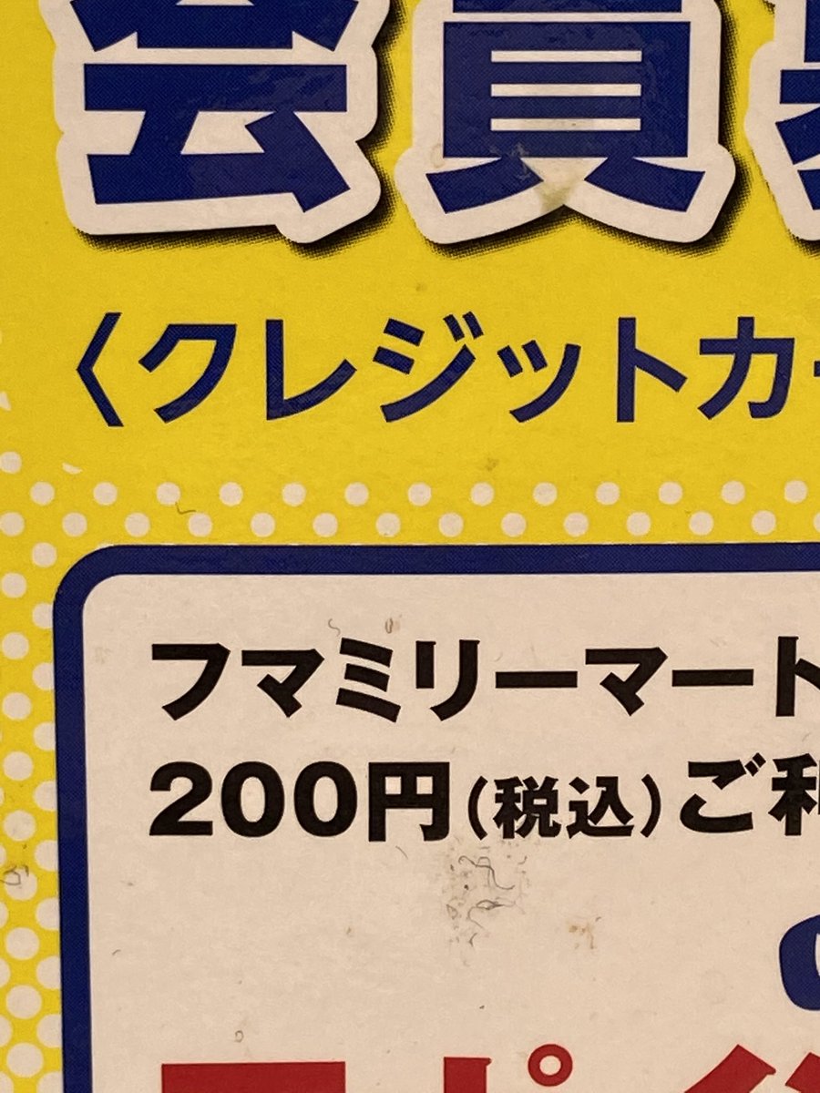 こういう日本語を図形としてしか見ない処理をしないと起こり得ない類のミス、なんなんだろ 