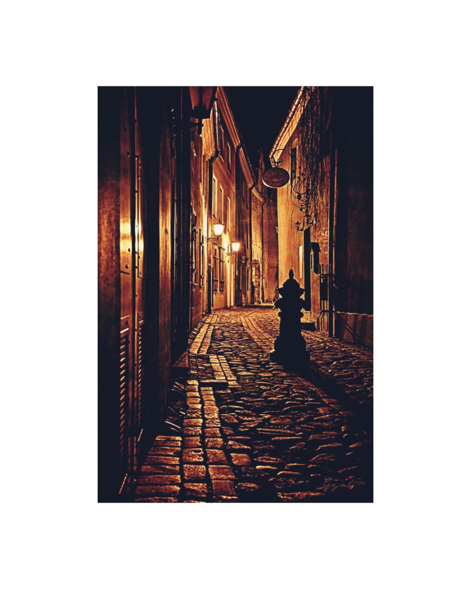VictorTiwary's tweet photo. #photography #photooftheday #photo #photographer #nature #love #instagood #travel #art #like #instagram #picoftheday #naturephotography #canon #follow #photoshoot #fashion #beautiful #model #travelphotography #ig #summer #portrait #landscape #bhfyp #nikon #fotografia #beauty https://t.co/ICefViPZqc