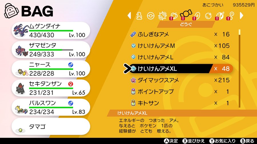 ポケモン剣盾 マックスレイドのnpcが弱い ソロバトルのコツとメリットは 駆け出しゲーマー見聞録