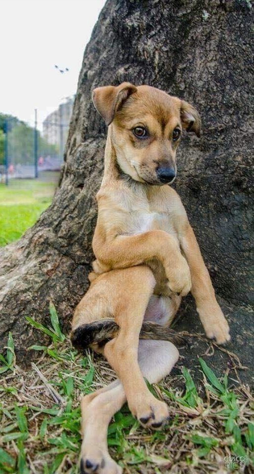 Thongchai​ Lerdvaranid (@tlerdvaranid) on Twitter photo 