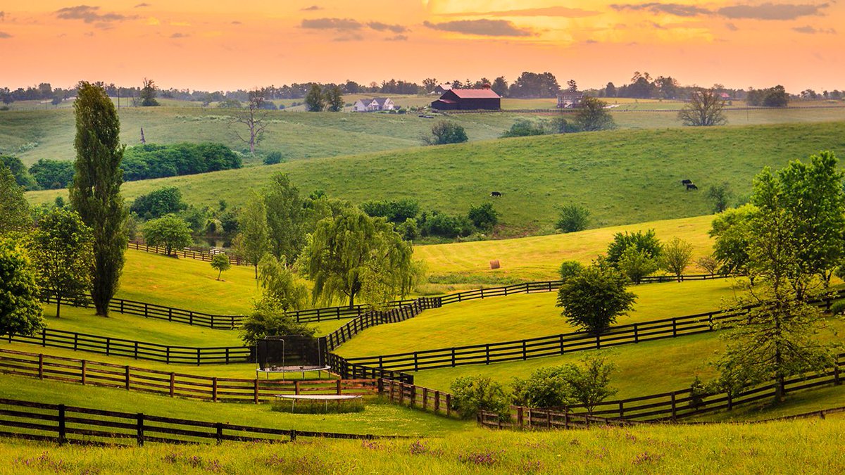 1 Million Cups Midwest tweet media